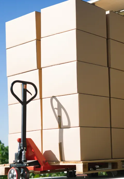 Commercial Auto Liability